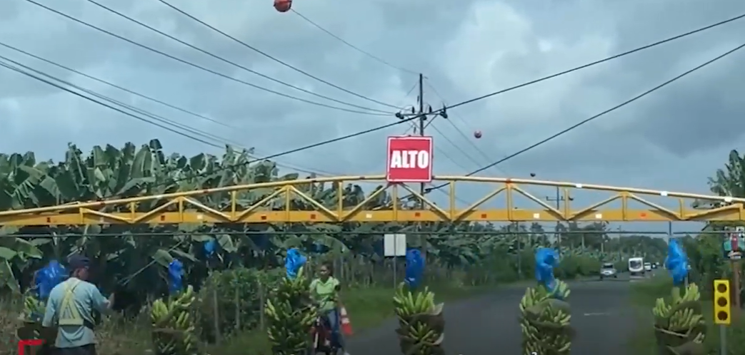 Kinh ngạc 'đoàn tàu chuối' xuất hiện, hàng loạt phương tiện nhường đường