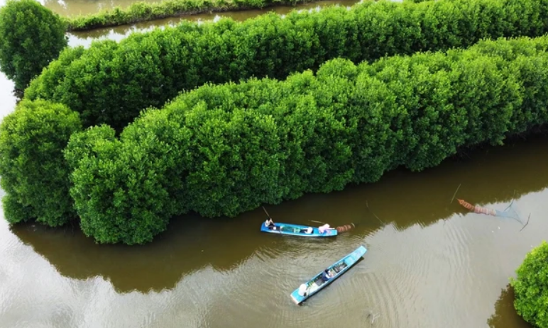 Kỳ vọng lớn cho ngành nông nghiệp ĐBSCL