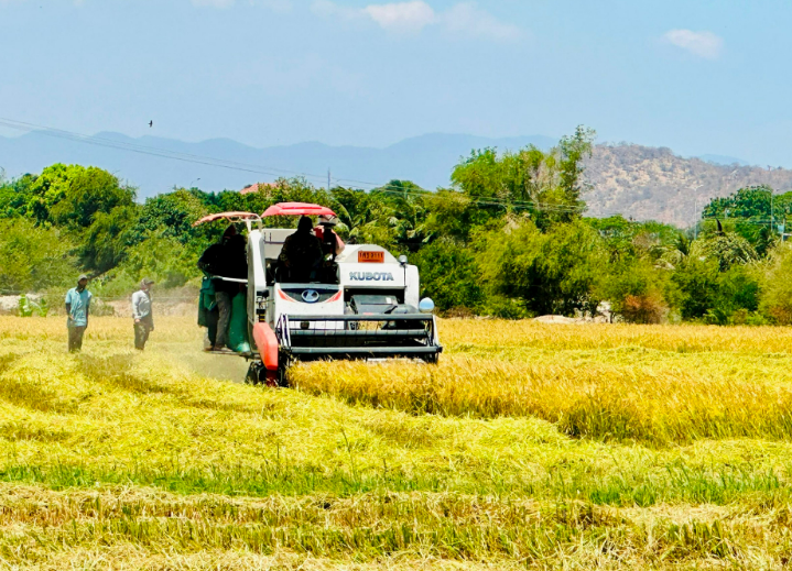 Hướng đến “Cánh đồng không dấu chân”