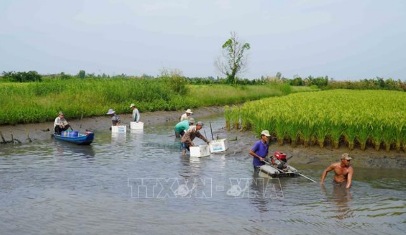 Nông nghiệp thích ứng biến đổi khí hậu - Bài 1: Tác động cực đoan của khí hậu