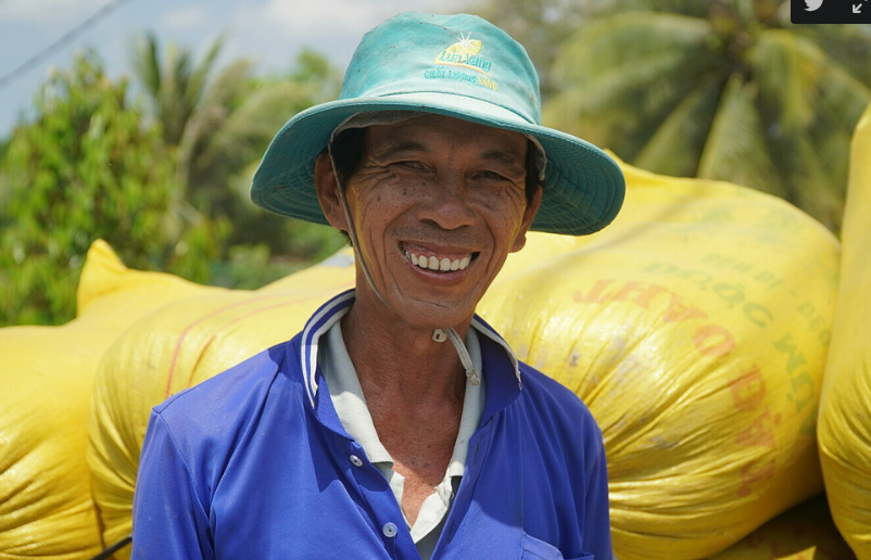 Nông dân Đồng Tháp trúng đậm vụ lúa Hè Thu