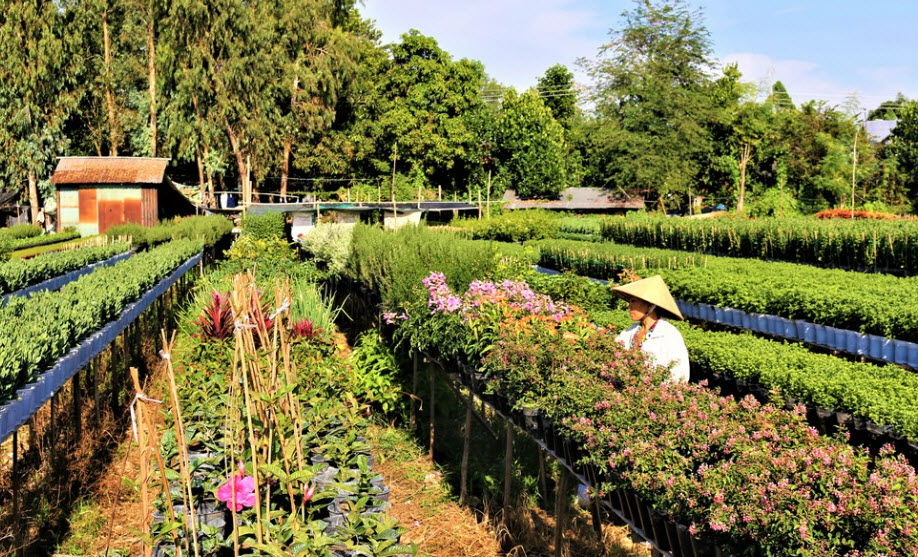 An Giang phát triển du lịch nông thôn