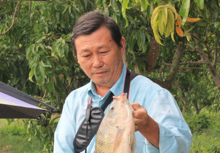 Đào ao thả 2 loại cá này vào, cho thiên hạ vô câu giải trí, ai ngờ ông nông dân Khánh Hòa kiếm bộn tiền