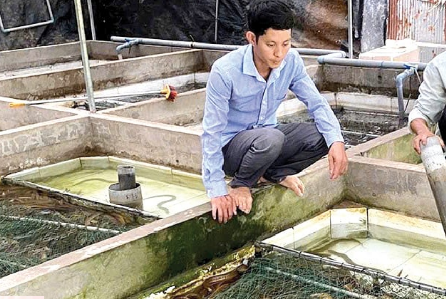 Con đặc sản bình dân này nuôi dày đặc, một nông dân Cần Thơ bắt bán 10 tấn, giá 90.000 đồng/kg