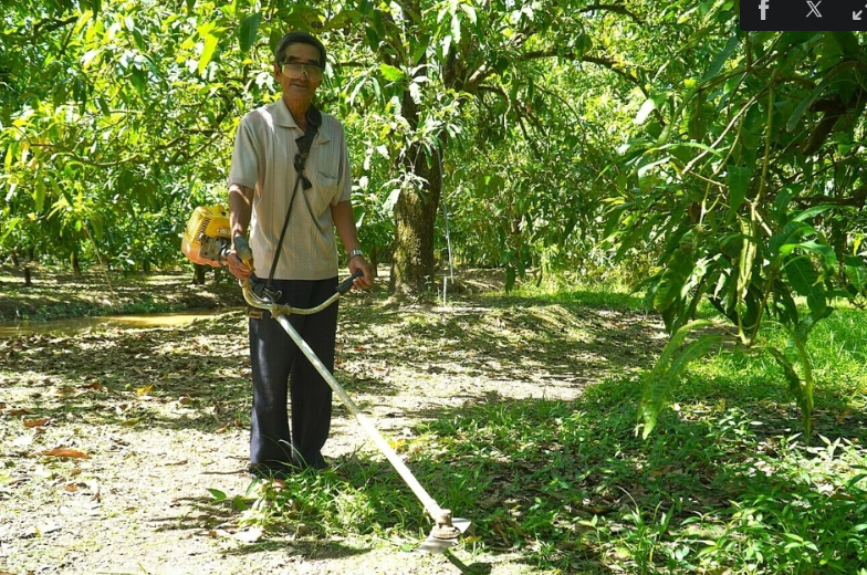 Những lão nông miền Tây không có người kế nghiệp