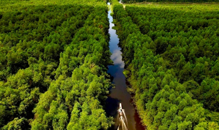 Chàng trai thu hàng trăm triệu đồng nhờ sản vật dưới rừng tràm