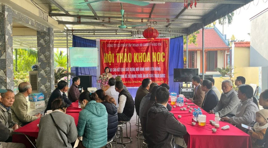 Nuôi con lươn đồng trong bể không bùn cho ăn toàn thảo dược, nông dân Hải Phòng thu lợi nhuận lớn